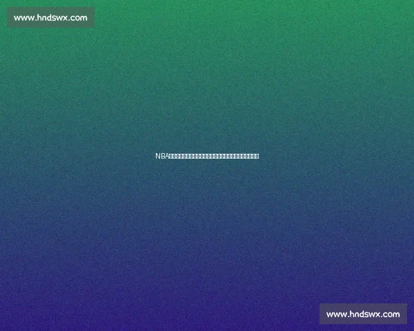 NBA总决赛湖人对热火数据全解析攻防表现与胜负关键五场走势