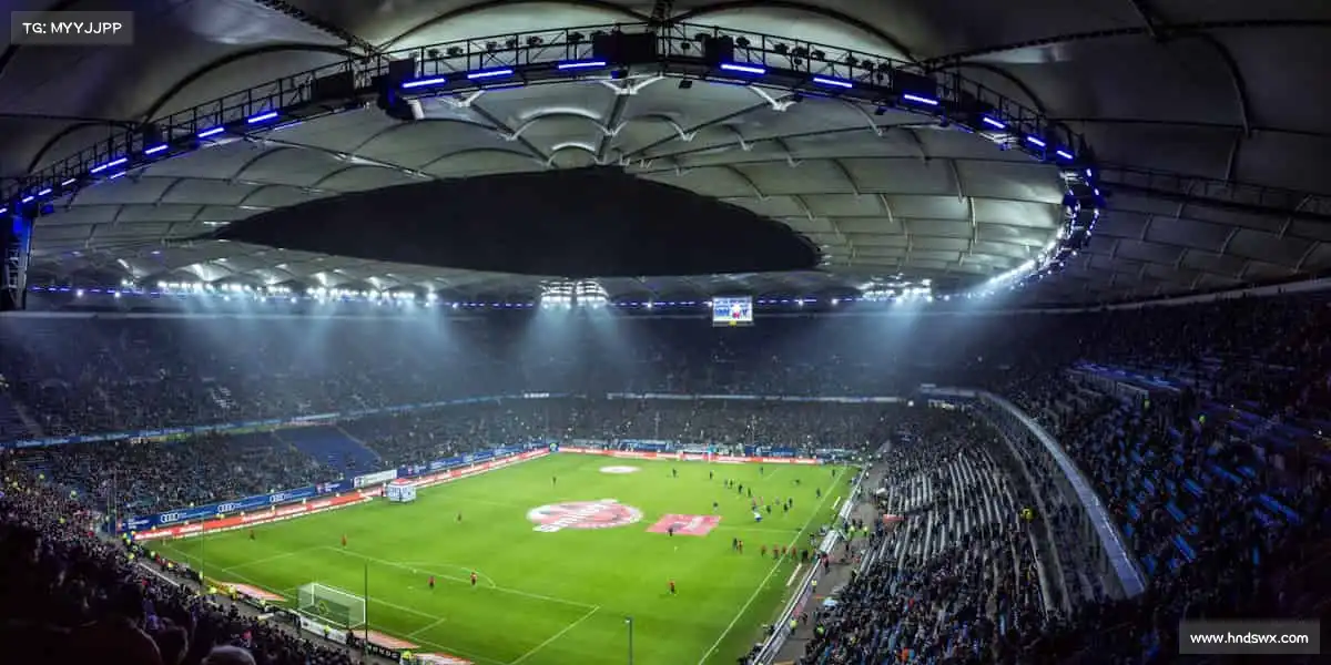 为什么选择我们